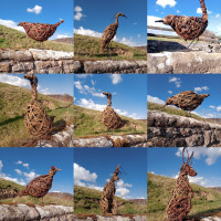 Willow Sculpture Workshop