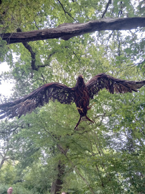 Red Kite at Wakehurst Botanic Gardens, West Sussex