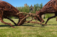 Stags rutting at Priorwood Garden, by Anna Turnbull