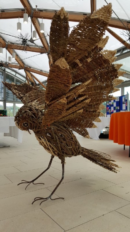 Willow Owl, made with the help of the &#039;Elderberries&#039; at Alnwick Garden