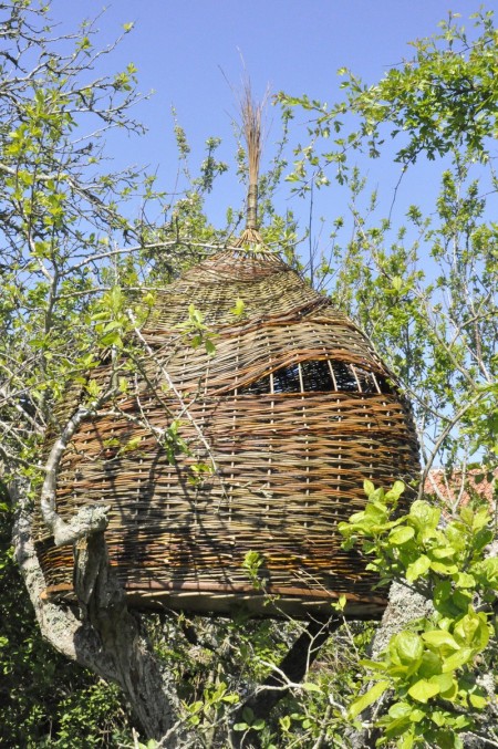 Willow Tree House