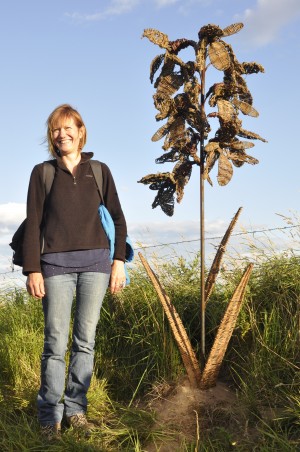 Willow Lindisfarne Helleborine Orchid