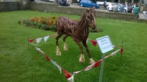 Willow Foal
