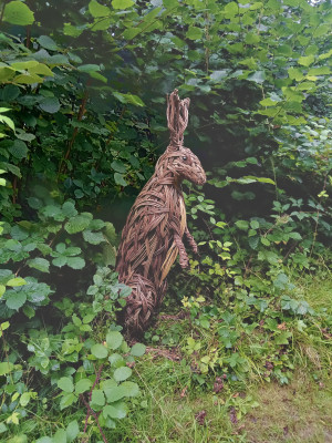 Rabbit at Wakehurst Botanic Gardens, West Sussex