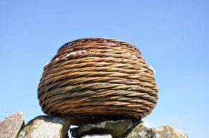 Organic Rope Weave Basket with pussy willow