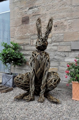 Barmoor Castle Hare